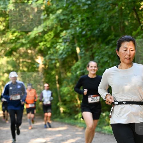 06.10.2024 - Bramfelder Halbmarathon 2024 Dr. Thomas Lammeyer http://msf.ph/oto/7335257 06.10.2024 09:54:41 Laufen 263 meine-sportfotos.de