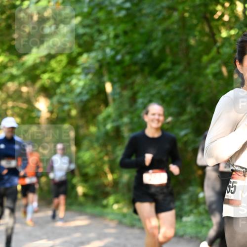 06.10.2024 - Bramfelder Halbmarathon 2024 Dr. Thomas Lammeyer http://msf.ph/oto/7335259 06.10.2024 09:54:42 Laufen 65 meine-sportfotos.de