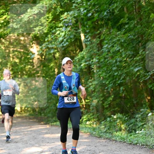 06.10.2024 - Bramfelder Halbmarathon 2024 Dr. Thomas Lammeyer http://msf.ph/oto/7335298 06.10.2024 09:54:51 Laufen 167, 428 meine-sportfotos.de