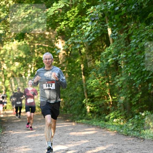 06.10.2024 - Bramfelder Halbmarathon 2024 Dr. Thomas Lammeyer http://msf.ph/oto/7335305 06.10.2024 09:54:52 Laufen 167 meine-sportfotos.de