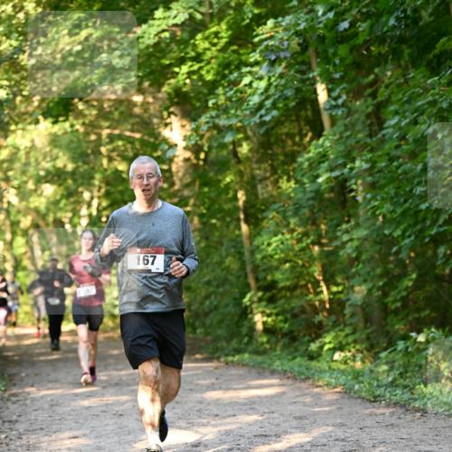 06.10.2024 - Bramfelder Halbmarathon 2024 Dr. Thomas Lammeyer http://msf.ph/oto/7335306 06.10.2024 09:54:52 Laufen 167 meine-sportfotos.de