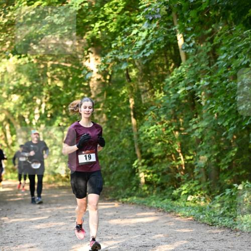 06.10.2024 - Bramfelder Halbmarathon 2024 Dr. Thomas Lammeyer http://msf.ph/oto/7335317 06.10.2024 09:54:54 Laufen 19 meine-sportfotos.de