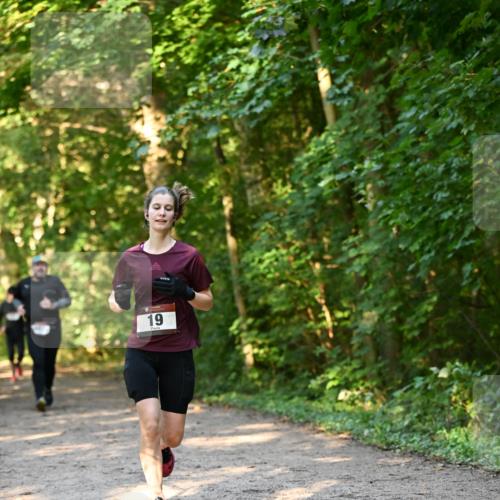 06.10.2024 - Bramfelder Halbmarathon 2024 Dr. Thomas Lammeyer http://msf.ph/oto/7335320 06.10.2024 09:54:55 Laufen 19 meine-sportfotos.de