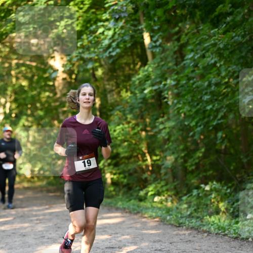06.10.2024 - Bramfelder Halbmarathon 2024 Dr. Thomas Lammeyer http://msf.ph/oto/7335323 06.10.2024 09:54:55 Laufen 19 meine-sportfotos.de