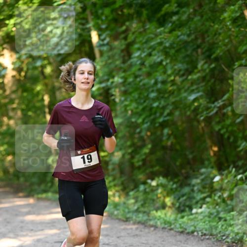 06.10.2024 - Bramfelder Halbmarathon 2024 Dr. Thomas Lammeyer http://msf.ph/oto/7335328 06.10.2024 09:54:56 Laufen 19 meine-sportfotos.de