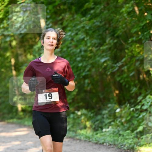 06.10.2024 - Bramfelder Halbmarathon 2024 Dr. Thomas Lammeyer http://msf.ph/oto/7335330 06.10.2024 09:54:56 Laufen 19 meine-sportfotos.de