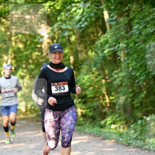 06.10.2024 - Bramfelder Halbmarathon 2024 Dr. Thomas Lammeyer http://msf.ph/oto/7335360 06.10.2024 09:55:02 Laufen 383 meine-sportfotos.de