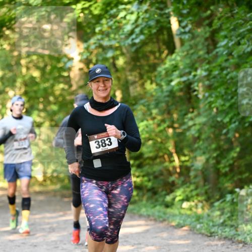06.10.2024 - Bramfelder Halbmarathon 2024 Dr. Thomas Lammeyer http://msf.ph/oto/7335361 06.10.2024 09:55:03 Laufen 383 meine-sportfotos.de