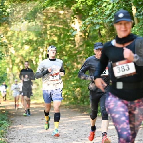 06.10.2024 - Bramfelder Halbmarathon 2024 Dr. Thomas Lammeyer http://msf.ph/oto/7335364 06.10.2024 09:55:03 Laufen 227, 2, 383 meine-sportfotos.de