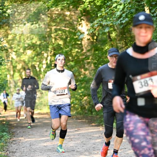 06.10.2024 - Bramfelder Halbmarathon 2024 Dr. Thomas Lammeyer http://msf.ph/oto/7335365 06.10.2024 09:55:03 Laufen 227, 383 meine-sportfotos.de