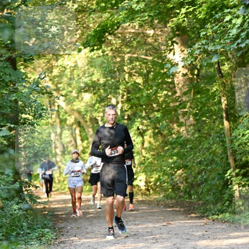 06.10.2024 - Bramfelder Halbmarathon 2024 Dr. Thomas Lammeyer http://msf.ph/oto/7335371 06.10.2024 09:55:06 Laufen 340, 530, 61 meine-sportfotos.de