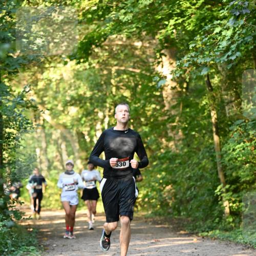 06.10.2024 - Bramfelder Halbmarathon 2024 Dr. Thomas Lammeyer http://msf.ph/oto/7335377 06.10.2024 09:55:07 Laufen 530 meine-sportfotos.de