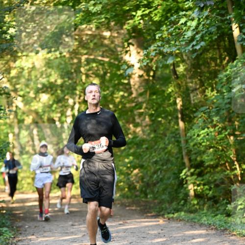 06.10.2024 - Bramfelder Halbmarathon 2024 Dr. Thomas Lammeyer http://msf.ph/oto/7335380 06.10.2024 09:55:07 Laufen 536 meine-sportfotos.de