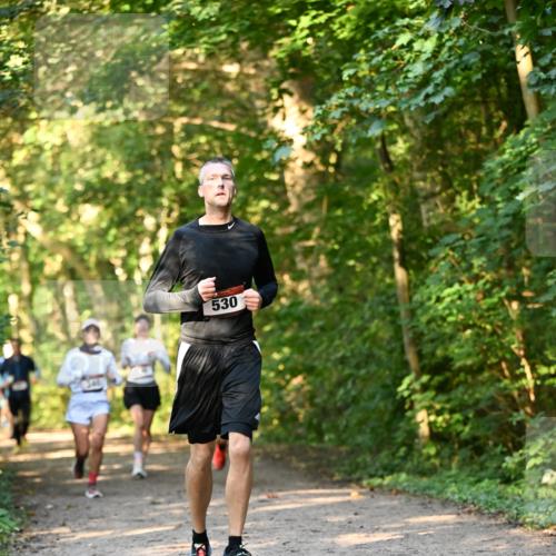 06.10.2024 - Bramfelder Halbmarathon 2024 Dr. Thomas Lammeyer http://msf.ph/oto/7335381 06.10.2024 09:55:07 Laufen 530 meine-sportfotos.de