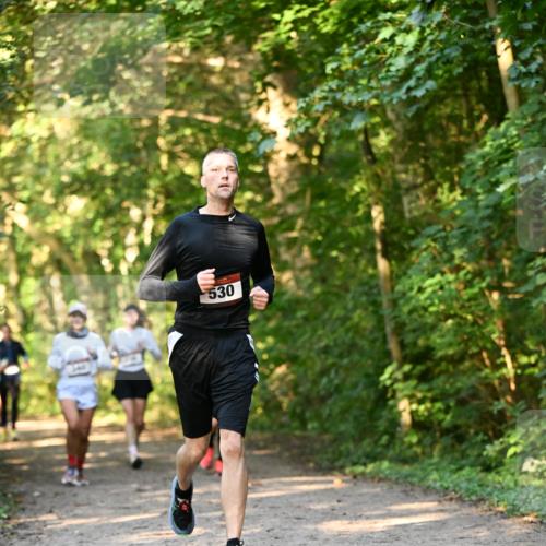 06.10.2024 - Bramfelder Halbmarathon 2024 Dr. Thomas Lammeyer http://msf.ph/oto/7335382 06.10.2024 09:55:08 Laufen 530 meine-sportfotos.de