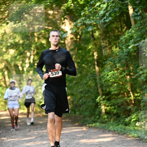 06.10.2024 - Bramfelder Halbmarathon 2024 Dr. Thomas Lammeyer http://msf.ph/oto/7335384 06.10.2024 09:55:08 Laufen 530 meine-sportfotos.de