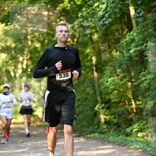 06.10.2024 - Bramfelder Halbmarathon 2024 Dr. Thomas Lammeyer http://msf.ph/oto/7335387 06.10.2024 09:55:08 Laufen 530 meine-sportfotos.de