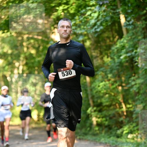 06.10.2024 - Bramfelder Halbmarathon 2024 Dr. Thomas Lammeyer http://msf.ph/oto/7335390 06.10.2024 09:55:09 Laufen 530 meine-sportfotos.de