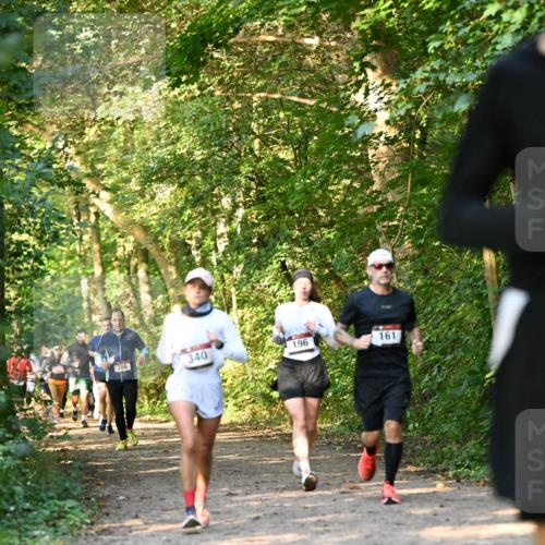 06.10.2024 - Bramfelder Halbmarathon 2024 Dr. Thomas Lammeyer http://msf.ph/oto/7335391 06.10.2024 09:55:10 Laufen 398, 340, 196, 161 meine-sportfotos.de