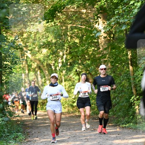 06.10.2024 - Bramfelder Halbmarathon 2024 Dr. Thomas Lammeyer http://msf.ph/oto/7335392 06.10.2024 09:55:10 Laufen 340, 196, 161 meine-sportfotos.de