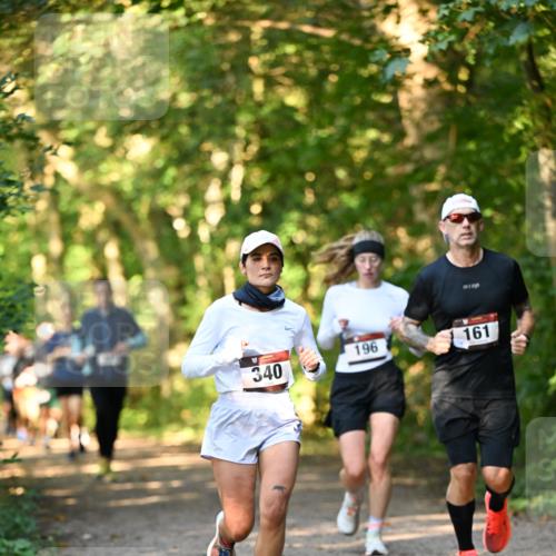 06.10.2024 - Bramfelder Halbmarathon 2024 Dr. Thomas Lammeyer http://msf.ph/oto/7335393 06.10.2024 09:55:11 Laufen 196, 340, 161 meine-sportfotos.de