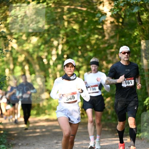 06.10.2024 - Bramfelder Halbmarathon 2024 Dr. Thomas Lammeyer http://msf.ph/oto/7335394 06.10.2024 09:55:11 Laufen 340, 196, 161 meine-sportfotos.de