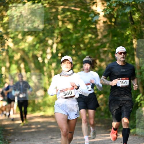 06.10.2024 - Bramfelder Halbmarathon 2024 Dr. Thomas Lammeyer http://msf.ph/oto/7335395 06.10.2024 09:55:11 Laufen 340, 161 meine-sportfotos.de