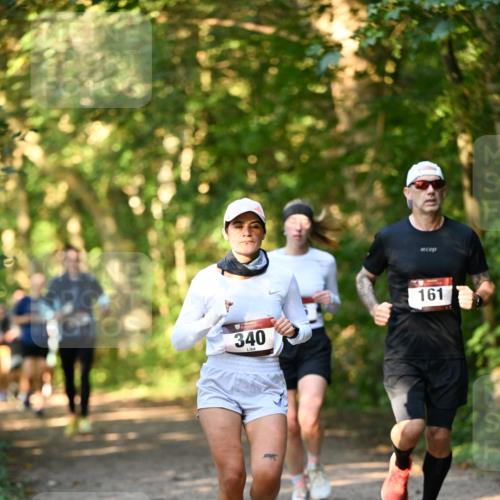 06.10.2024 - Bramfelder Halbmarathon 2024 Dr. Thomas Lammeyer http://msf.ph/oto/7335396 06.10.2024 09:55:11 Laufen 340, 161 meine-sportfotos.de