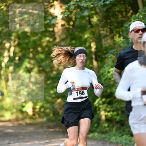 06.10.2024 - Bramfelder Halbmarathon 2024 Dr. Thomas Lammeyer http://msf.ph/oto/7335402 06.10.2024 09:55:13 Laufen 196 meine-sportfotos.de