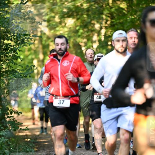 06.10.2024 - Bramfelder Halbmarathon 2024 Dr. Thomas Lammeyer http://msf.ph/oto/7335475 06.10.2024 09:55:28 Laufen 37, 482 meine-sportfotos.de