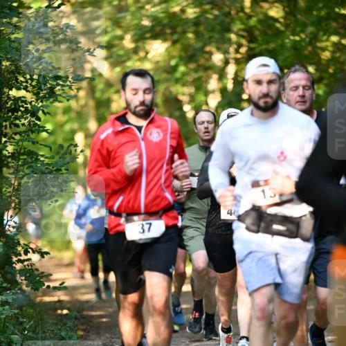 06.10.2024 - Bramfelder Halbmarathon 2024 Dr. Thomas Lammeyer http://msf.ph/oto/7335477 06.10.2024 09:55:29 Laufen 37, 13, 44, 48 meine-sportfotos.de