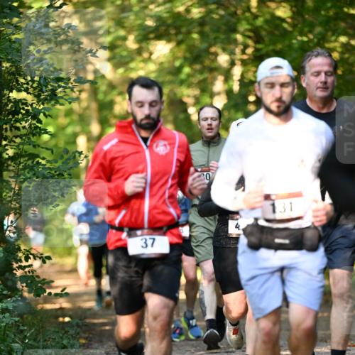 06.10.2024 - Bramfelder Halbmarathon 2024 Dr. Thomas Lammeyer http://msf.ph/oto/7335478 06.10.2024 09:55:29 Laufen 37, 4, 31 meine-sportfotos.de