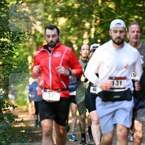 06.10.2024 - Bramfelder Halbmarathon 2024 Dr. Thomas Lammeyer http://msf.ph/oto/7335480 06.10.2024 09:55:29 Laufen 37, 170, 48, 131, 39 meine-sportfotos.de