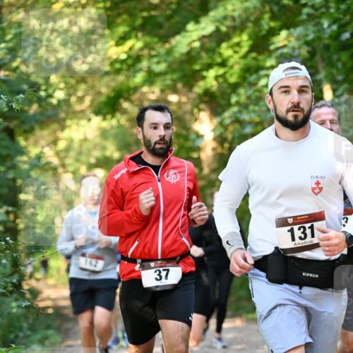 06.10.2024 - Bramfelder Halbmarathon 2024 Dr. Thomas Lammeyer http://msf.ph/oto/7335491 06.10.2024 09:55:32 Laufen 162, 37, 131 meine-sportfotos.de