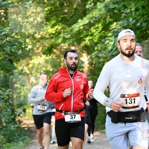06.10.2024 - Bramfelder Halbmarathon 2024 Dr. Thomas Lammeyer http://msf.ph/oto/7335492 06.10.2024 09:55:32 Laufen 162, 37, 131 meine-sportfotos.de