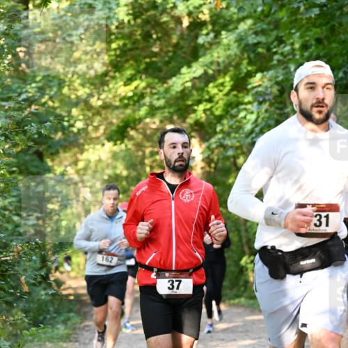 06.10.2024 - Bramfelder Halbmarathon 2024 Dr. Thomas Lammeyer http://msf.ph/oto/7335493 06.10.2024 09:55:32 Laufen 162, 37, 31 meine-sportfotos.de