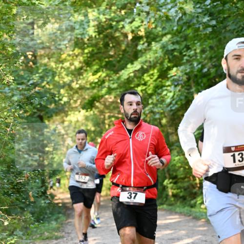 06.10.2024 - Bramfelder Halbmarathon 2024 Dr. Thomas Lammeyer http://msf.ph/oto/7335495 06.10.2024 09:55:32 Laufen 162, 37, 13 meine-sportfotos.de