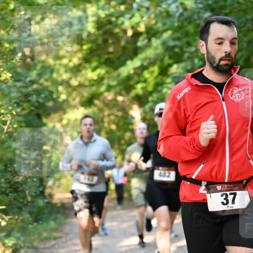 06.10.2024 - Bramfelder Halbmarathon 2024 Dr. Thomas Lammeyer http://msf.ph/oto/7335499 06.10.2024 09:55:33 Laufen 482, 33, 37 meine-sportfotos.de