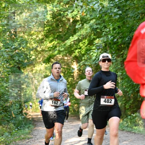 06.10.2024 - Bramfelder Halbmarathon 2024 Dr. Thomas Lammeyer http://msf.ph/oto/7335500 06.10.2024 09:55:33 Laufen 482, 162 meine-sportfotos.de