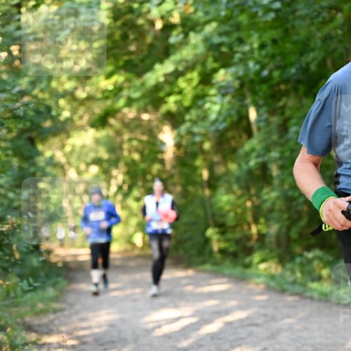 06.10.2024 - Bramfelder Halbmarathon 2024 Dr. Thomas Lammeyer http://msf.ph/oto/7335516 06.10.2024 09:55:36 Laufen  meine-sportfotos.de