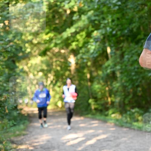 06.10.2024 - Bramfelder Halbmarathon 2024 Dr. Thomas Lammeyer http://msf.ph/oto/7335517 06.10.2024 09:55:36 Laufen  meine-sportfotos.de