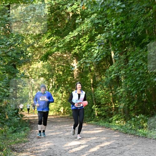 06.10.2024 - Bramfelder Halbmarathon 2024 Dr. Thomas Lammeyer http://msf.ph/oto/7335518 06.10.2024 09:55:37 Laufen 423, 564 meine-sportfotos.de