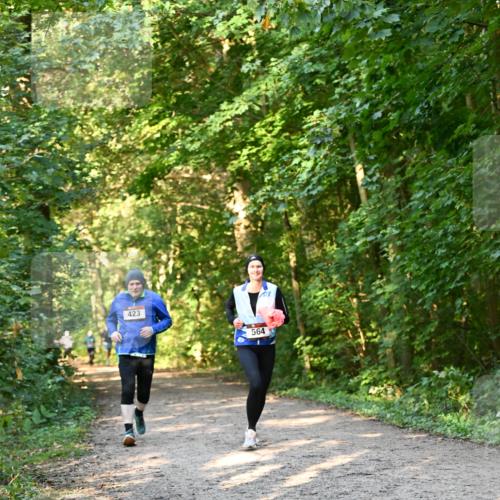 06.10.2024 - Bramfelder Halbmarathon 2024 Dr. Thomas Lammeyer http://msf.ph/oto/7335519 06.10.2024 09:55:37 Laufen 423, 564 meine-sportfotos.de