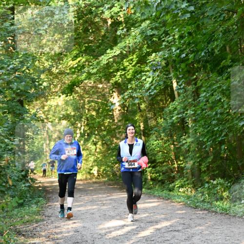 06.10.2024 - Bramfelder Halbmarathon 2024 Dr. Thomas Lammeyer http://msf.ph/oto/7335521 06.10.2024 09:55:37 Laufen 423, 564 meine-sportfotos.de