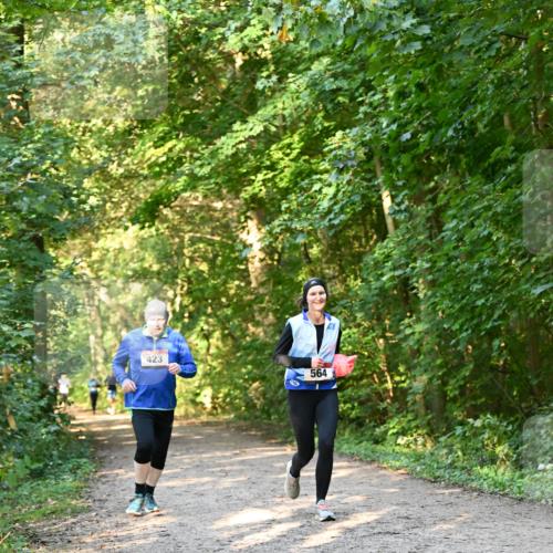 06.10.2024 - Bramfelder Halbmarathon 2024 Dr. Thomas Lammeyer http://msf.ph/oto/7335523 06.10.2024 09:55:38 Laufen 423, 564 meine-sportfotos.de