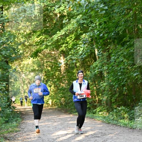 06.10.2024 - Bramfelder Halbmarathon 2024 Dr. Thomas Lammeyer http://msf.ph/oto/7335524 06.10.2024 09:55:38 Laufen 423, 564 meine-sportfotos.de