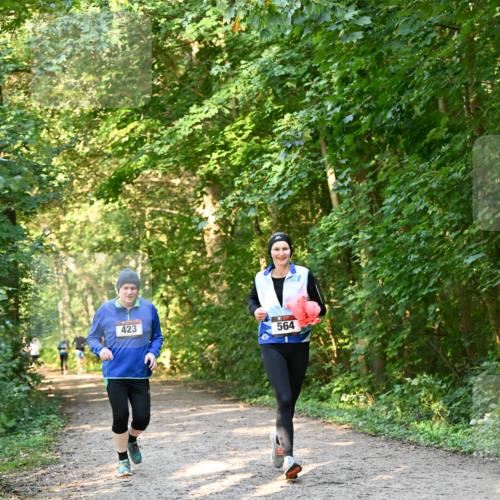 06.10.2024 - Bramfelder Halbmarathon 2024 Dr. Thomas Lammeyer http://msf.ph/oto/7335525 06.10.2024 09:55:38 Laufen 423, 564 meine-sportfotos.de