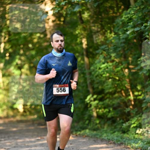 06.10.2024 - Bramfelder Halbmarathon 2024 Dr. Thomas Lammeyer http://msf.ph/oto/7335549 06.10.2024 09:55:43 Laufen 556 meine-sportfotos.de