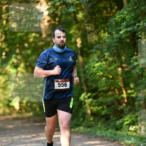 06.10.2024 - Bramfelder Halbmarathon 2024 Dr. Thomas Lammeyer http://msf.ph/oto/7335550 06.10.2024 09:55:43 Laufen 556 meine-sportfotos.de