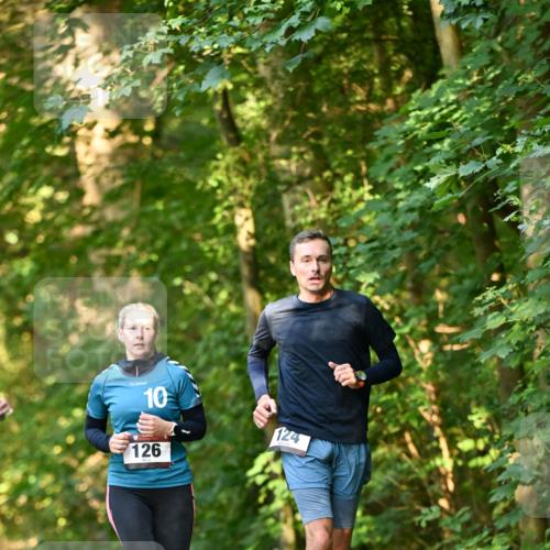 06.10.2024 - Bramfelder Halbmarathon 2024 Dr. Thomas Lammeyer http://msf.ph/oto/7335559 06.10.2024 09:55:54 Laufen 10, 126, 124 meine-sportfotos.de